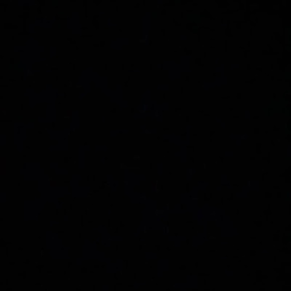 Meet your Posher, Ricky - Picture 1 of 1